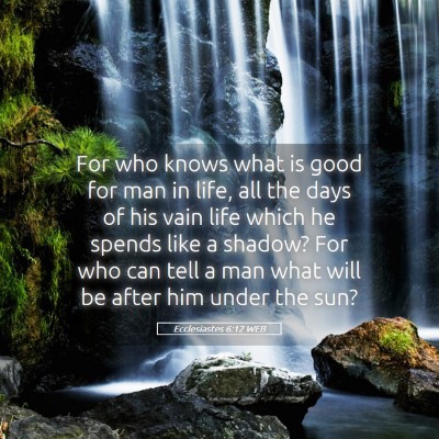Picture 05 - Ecclesiastes 6:12 WEB - For who knows what is good for man in life, all - Bible Verse Picture