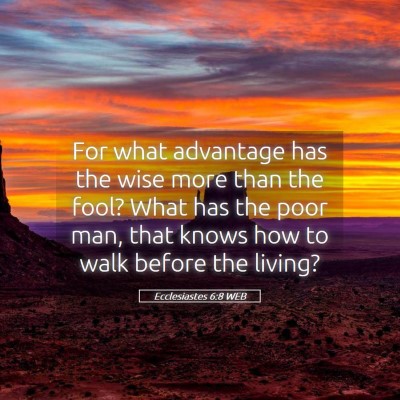 Picture 05 - Ecclesiastes 6:8 WEB - For what advantage has the wise more than the - Bible Verse Picture
