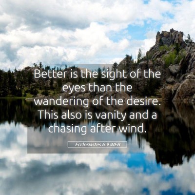 Picture 05 - Ecclesiastes 6:9 WEB - Better is the sight of the eyes than the - Bible Verse Picture
