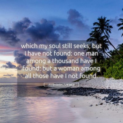 Picture 05 - Ecclesiastes 7:28 WEB - which my soul still seeks; but I have not found: - Bible Verse Picture