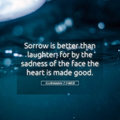 Picture 05 - Ecclesiastes 7:3 WEB - Sorrow is better than laughter; for by the - Bible Verse Picture