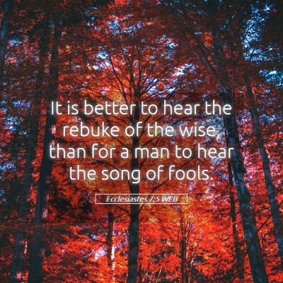 Picture 05 - Ecclesiastes 7:5 WEB - It is better to hear the rebuke of the wise, than - Bible Verse Picture