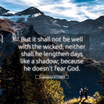 Picture 05 - Ecclesiastes 8:13 WEB - But it shall not be well with the wicked, neither - Bible Verse Picture