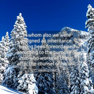 Picture 05 - Ephesians 1:11 WEB - in whom also we were assigned an inheritance, - Bible Verse Picture