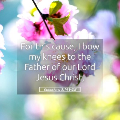 Picture 05 - Ephesians 3:14 WEB - For this cause, I bow my knees to the Father of - Bible Verse Picture