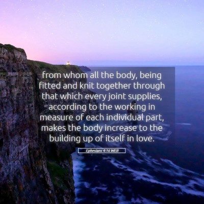 Picture 05 - Ephesians 4:16 WEB - from whom all the body, being fitted and knit - Bible Verse Picture