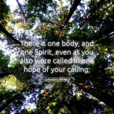 Picture 05 - Ephesians 4:4 WEB - There is one body, and one Spirit, even as you - Bible Verse Picture