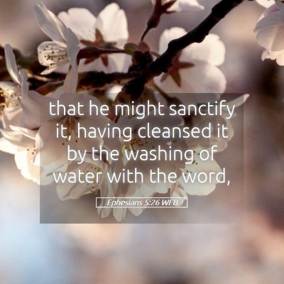 Picture 05 - Ephesians 5:26 WEB - that he might sanctify it, having cleansed it by - Bible Verse Picture