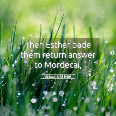 Picture 05 - Esther 4:15 WEB - Then Esther bade them return answer to - Bible Verse Picture