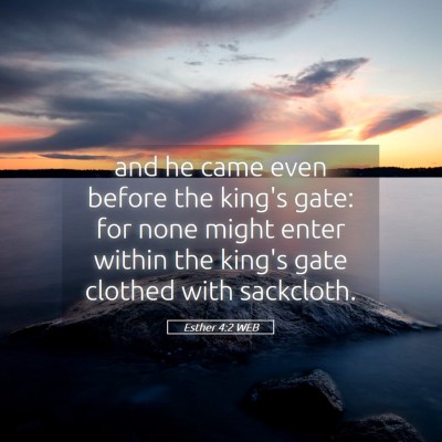 Picture 05 - Esther 4:2 WEB - and he came even before the king's gate: for none - Bible Verse Picture