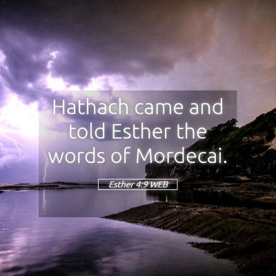 Picture 05 - Esther 4:9 WEB - Hathach came and told Esther the words of - Bible Verse Picture