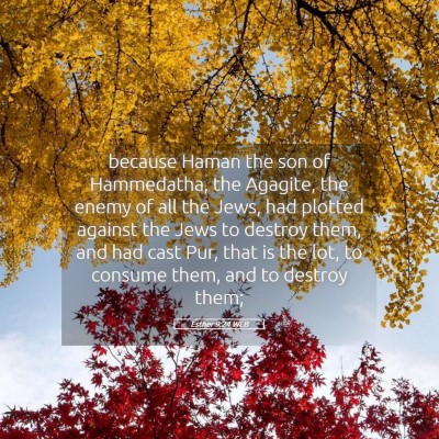 Picture 05 - Esther 9:24 WEB - because Haman the son of Hammedatha, the Agagite, - Bible Verse Picture
