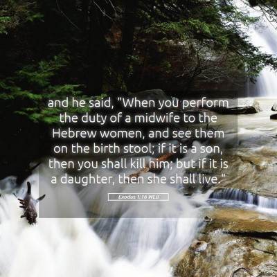 Picture 05 - Exodus 1:16 WEB - and he said, 