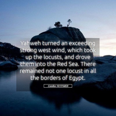 Picture 05 - Exodus 10:19 WEB - Yahweh turned an exceeding strong west wind, - Bible Verse Picture
