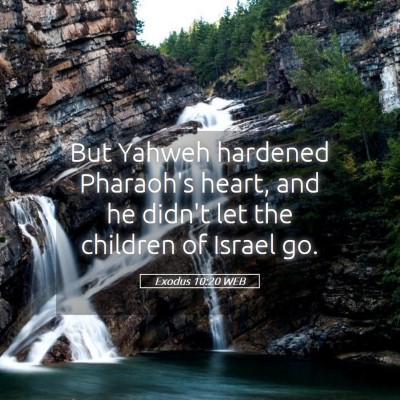Picture 05 - Exodus 10:20 WEB - But Yahweh hardened Pharaoh's heart, and he - Bible Verse Picture