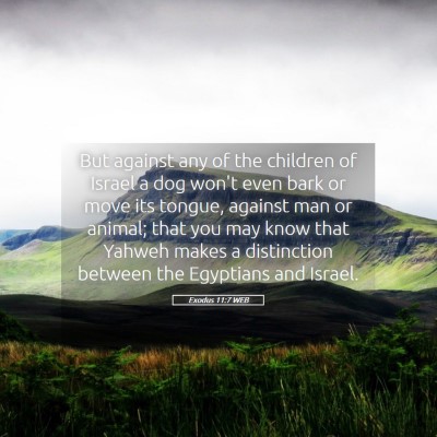 Picture 05 - Exodus 11:7 WEB - But against any of the children of Israel a dog - Bible Verse Picture