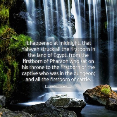 Picture 05 - Exodus 12:29 WEB - It happened at midnight, that Yahweh struck all - Bible Verse Picture