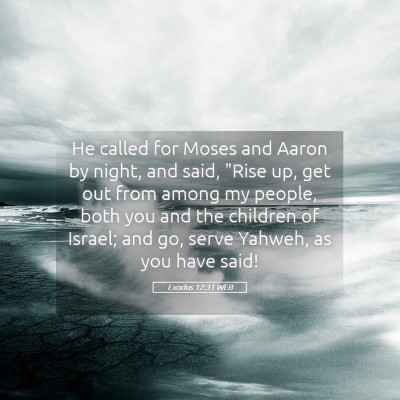 Picture 05 - Exodus 12:31 WEB - He called for Moses and Aaron by night, and said, - Bible Verse Picture