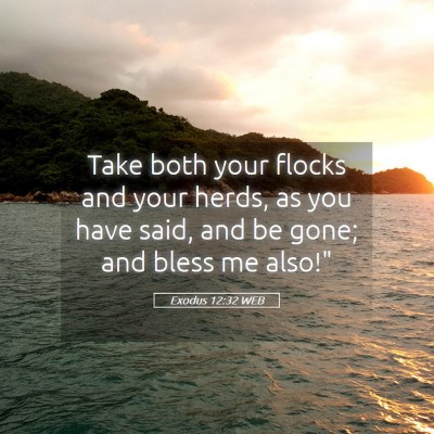 Picture 05 - Exodus 12:32 WEB - Take both your flocks and your herds, as you have - Bible Verse Picture