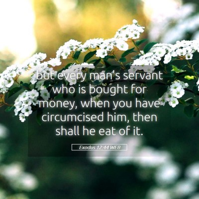 Picture 05 - Exodus 12:44 WEB - but every man's servant who is bought for money, - Bible Verse Picture