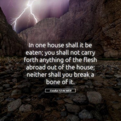 Picture 05 - Exodus 12:46 WEB - In one house shall it be eaten; you shall not - Bible Verse Picture