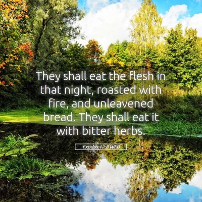 Picture 05 - Exodus 12:8 WEB - They shall eat the flesh in that night, roasted - Bible Verse Picture