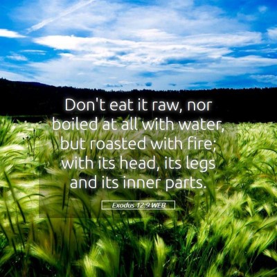 Picture 05 - Exodus 12:9 WEB - Don't eat it raw, nor boiled at all with water, - Bible Verse Picture