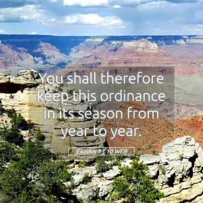 Picture 05 - Exodus 13:10 WEB - You shall therefore keep this ordinance in its - Bible Verse Picture