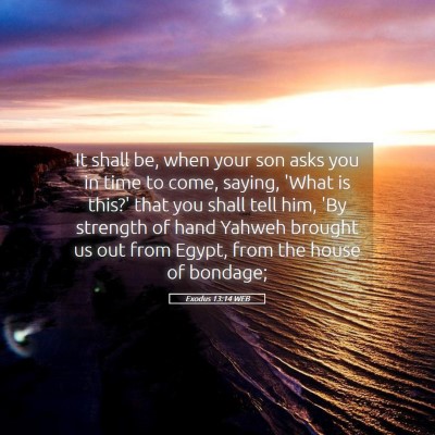 Picture 05 - Exodus 13:14 WEB - It shall be, when your son asks you in time to - Bible Verse Picture