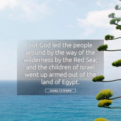 Picture 05 - Exodus 13:18 WEB - but God led the people around by the way of the - Bible Verse Picture