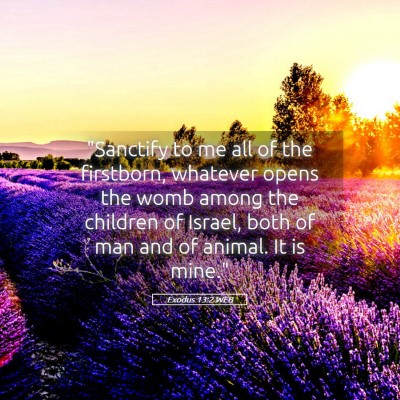 Picture 05 - Exodus 13:2 WEB - 
