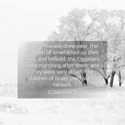 Picture 05 - Exodus 14:10 WEB - When Pharaoh drew near, the children of Israel - Bible Verse Picture