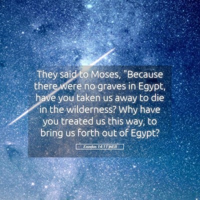 Picture 05 - Exodus 14:11 WEB - They said to Moses, 