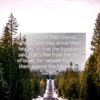 Picture 05 - Exodus 14:25 WEB - He took off their chariot wheels, and they drove - Bible Verse Picture