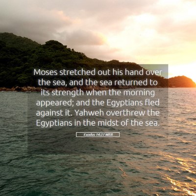 Picture 05 - Exodus 14:27 WEB - Moses stretched out his hand over the sea, and - Bible Verse Picture