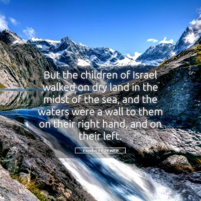Picture 05 - Exodus 14:29 WEB - But the children of Israel walked on dry land in - Bible Verse Picture