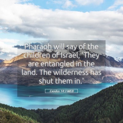 Picture 05 - Exodus 14:3 WEB - Pharaoh will say of the children of Israel, 'They - Bible Verse Picture
