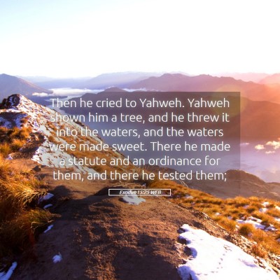 Picture 05 - Exodus 15:25 WEB - Then he cried to Yahweh. Yahweh shown him a tree, - Bible Verse Picture