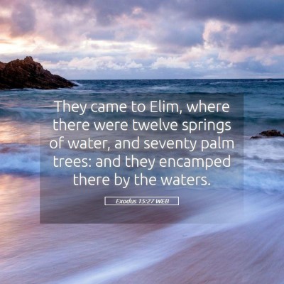 Picture 05 - Exodus 15:27 WEB - They came to Elim, where there were twelve - Bible Verse Picture
