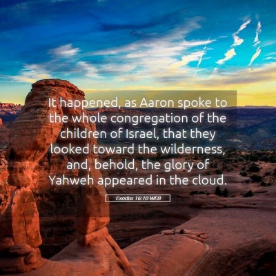 Picture 05 - Exodus 16:10 WEB - It happened, as Aaron spoke to the whole - Bible Verse Picture