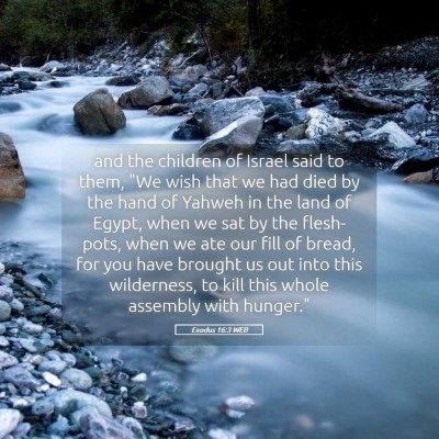 Picture 05 - Exodus 16:3 WEB - and the children of Israel said to them, 