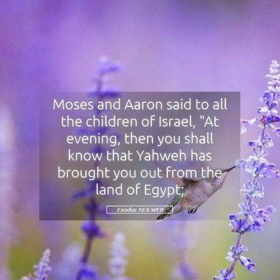 Picture 05 - Exodus 16:6 WEB - Moses and Aaron said to all the children of - Bible Verse Picture