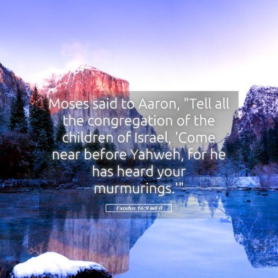 Picture 05 - Exodus 16:9 WEB - Moses said to Aaron, 
