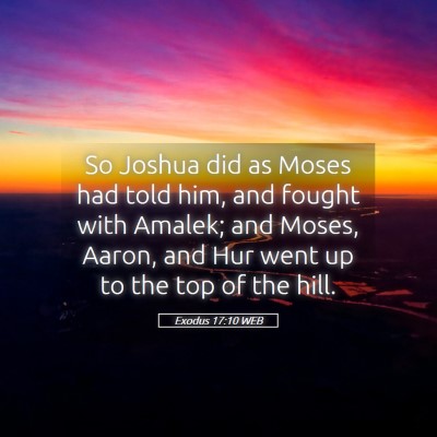 Picture 05 - Exodus 17:10 WEB - So Joshua did as Moses had told him, and fought - Bible Verse Picture