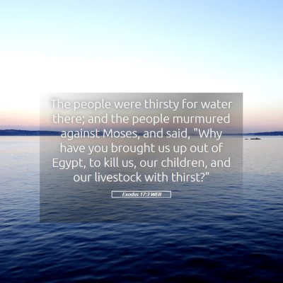 Picture 05 - Exodus 17:3 WEB - The people were thirsty for water there; and the - Bible Verse Picture