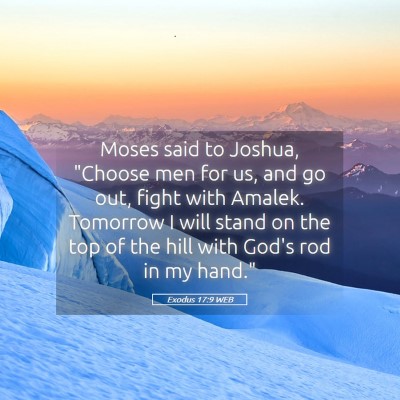 Picture 05 - Exodus 17:9 WEB - Moses said to Joshua, 