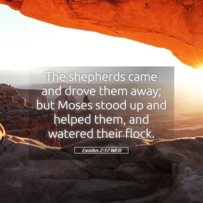 Picture 05 - Exodus 2:17 WEB - The shepherds came and drove them away; but Moses - Bible Verse Picture