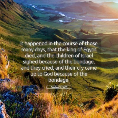 Picture 05 - Exodus 2:23 WEB - It happened in the course of those many days, - Bible Verse Picture