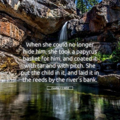 Picture 05 - Exodus 2:3 WEB - When she could no longer hide him, she took a - Bible Verse Picture