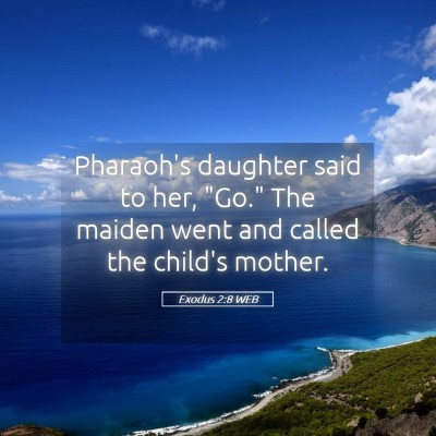 Picture 05 - Exodus 2:8 WEB - Pharaoh's daughter said to her, 